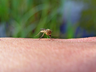 Similar image 443363