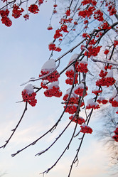 Similar image 443371