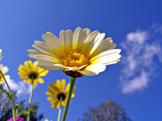 Similar image 443373