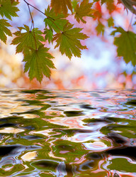 Similar image 443381