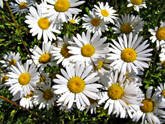 Similar image 443383