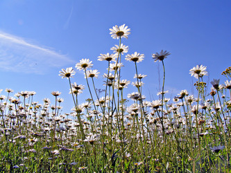 Similar image 443391