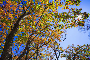 Similar image 443393