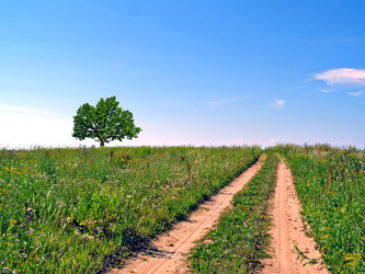 Similar image 443405