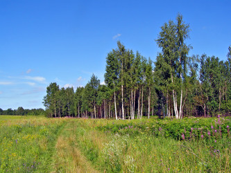 Similar image 443414