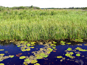 Similar image 443422