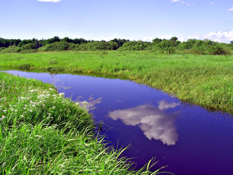 Similar image 443429