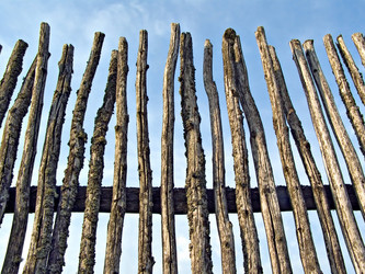 Similar image 443454