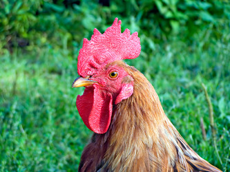 Similar image 443459