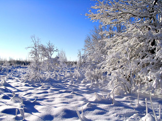 Similar image 443473