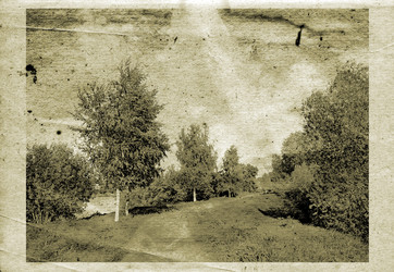 Similar image 443486