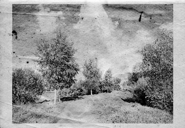 Similar image 443488