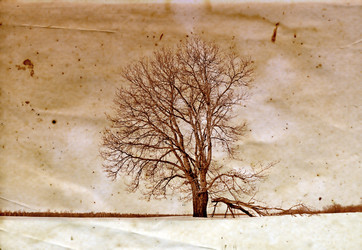 Similar image 443493