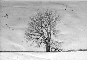 Similar image 443494