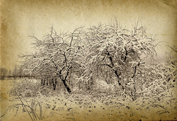 Similar image 443497