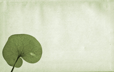 Similar image 443505