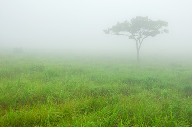 Similar image 443525