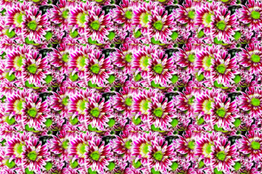 Similar image 443556