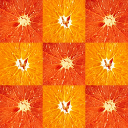 Similar image 443680