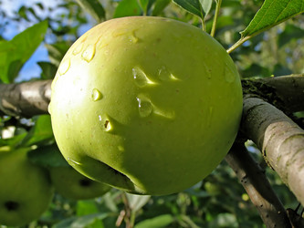 Similar image 443723