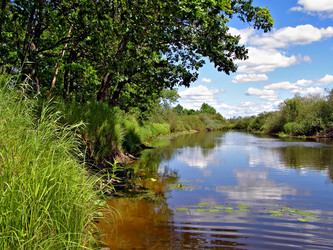 Similar image 443738