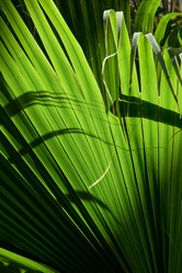 Similar image 443781