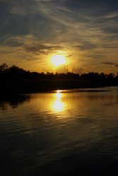 Similar image 443786