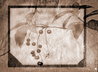 Similar image 443834