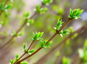 Similar image 443838