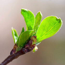 Similar image 443840