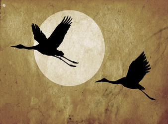 Similar image 443841