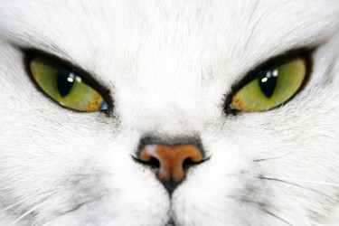 Similar image 443876