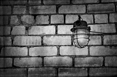 Similar image 443883