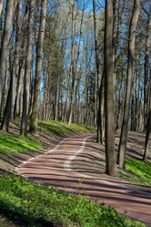 Similar image 443920