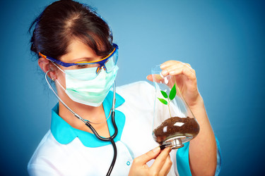 Similar image 444044