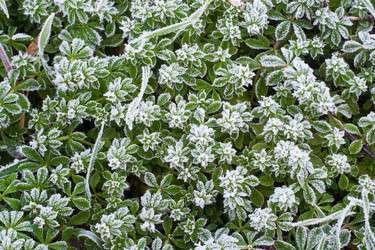 Similar image 444174