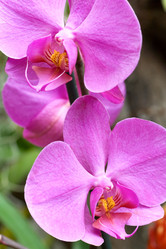 Similar image 444220