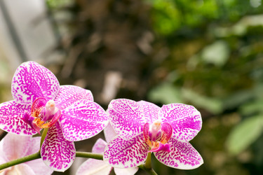 Similar image 444221