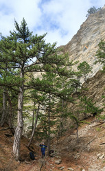 Similar image 444257