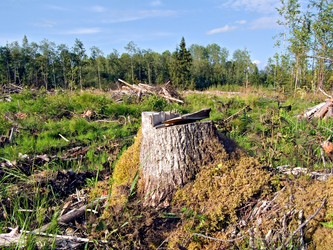 Similar image 444264