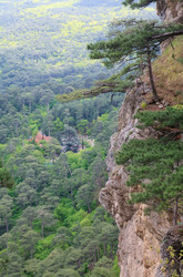 Similar image 444284