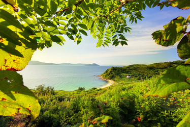 Similar image 444334