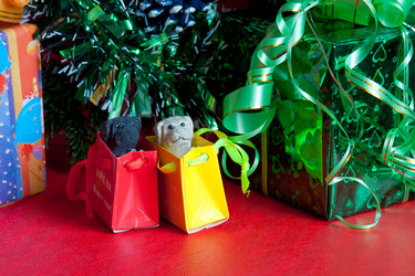 Similar image 444353