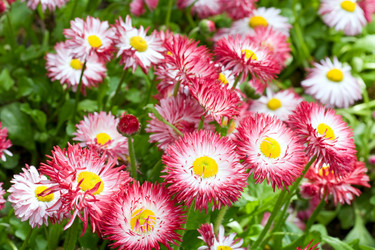 Similar image 444354