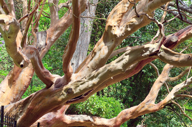 Similar image 444375