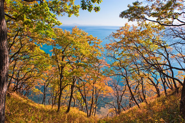 Similar image 444384