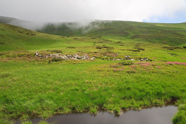 Similar image 444402