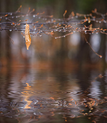 Similar image 444412