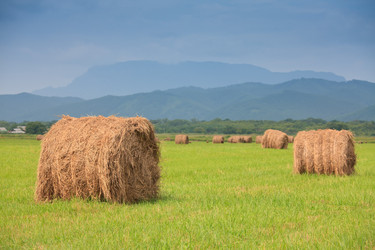 Similar image 444448