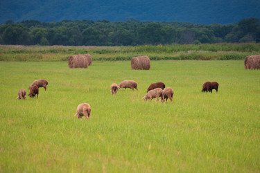 Similar image 444457